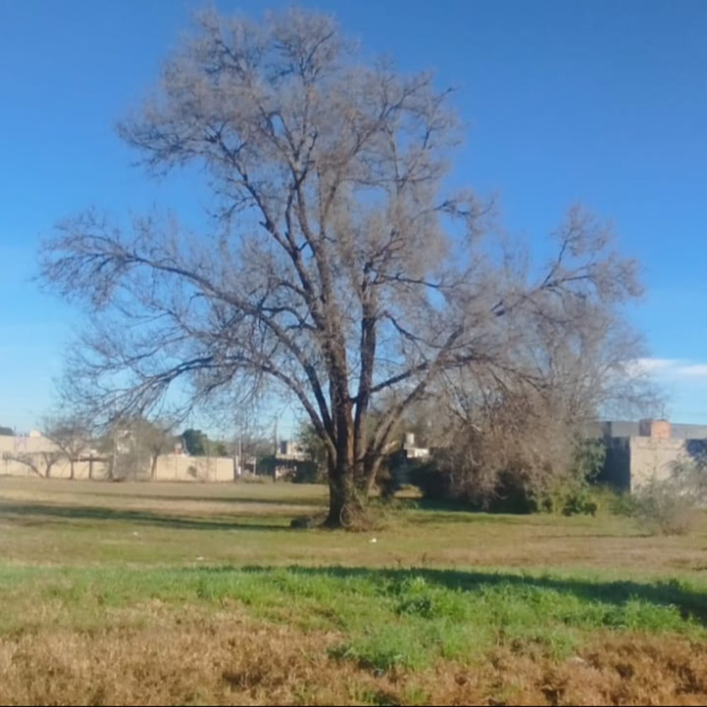 Lotes en Villa Adela